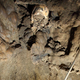The skull as it was found inside the cave shaft.